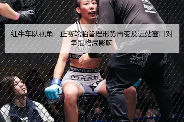 红牛车队视角：正赛轮胎管理形势再变及进站窗口对争冠格局影响